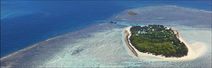 Heron Island - QLD (PBH4 00 18452)